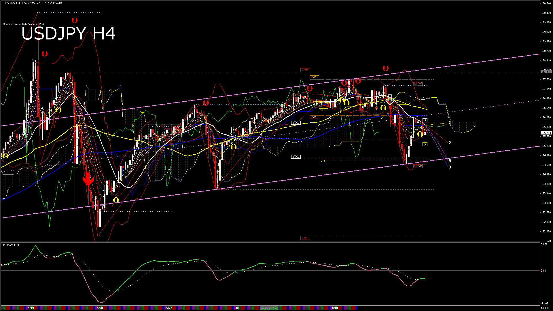 usdjpy240_20240606_140011-gif