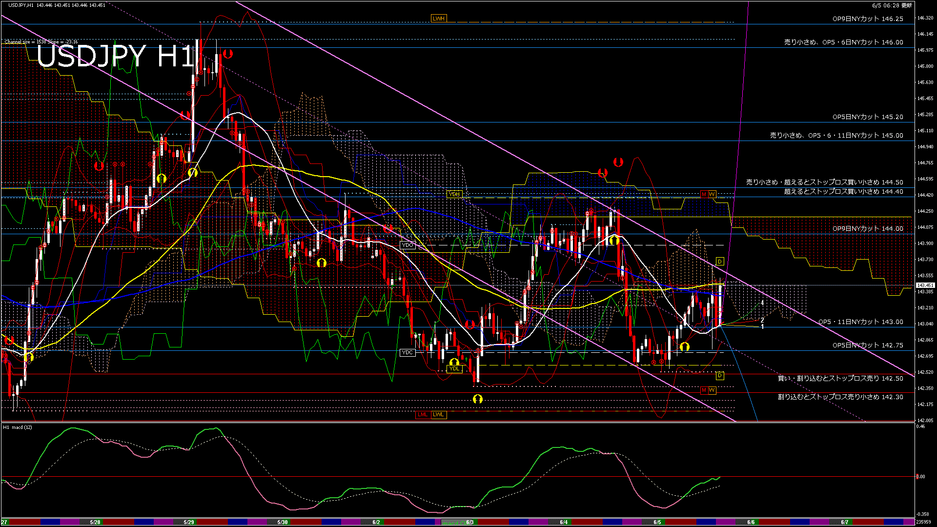 usdjpy60_20250606_000000-gif