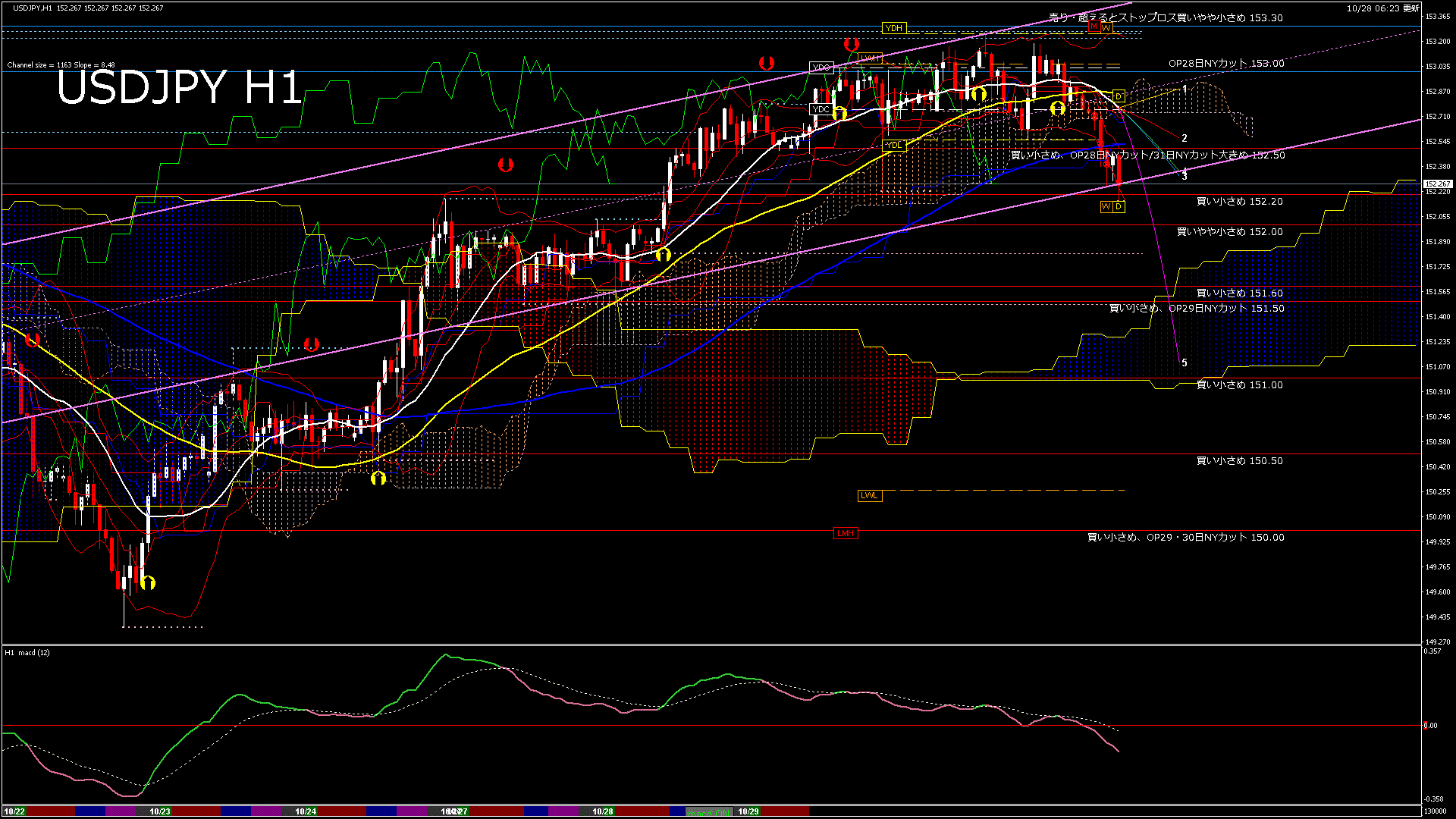 usdjpy60_20251028_130000-gif
