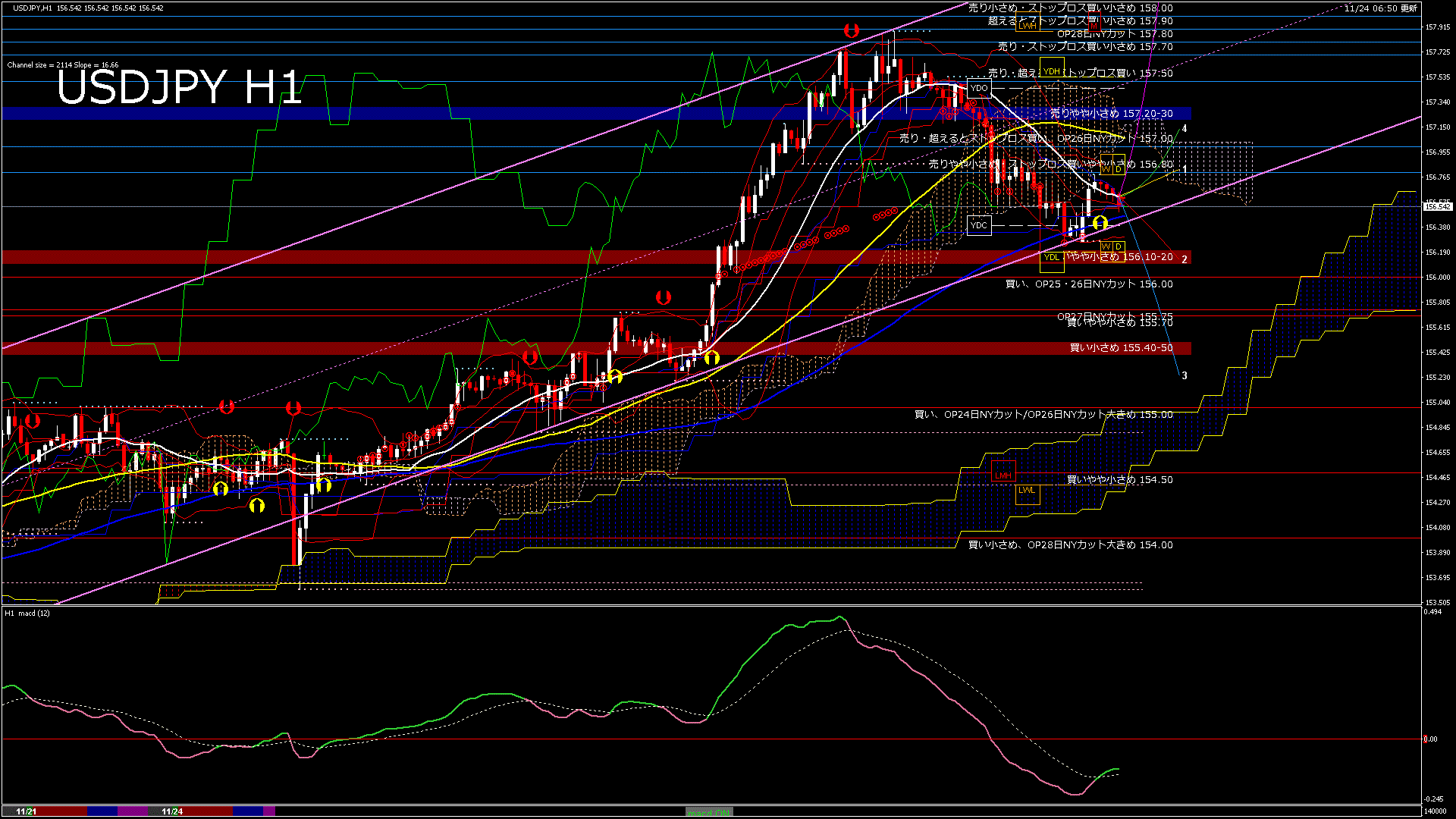 usdjpy60_20251124_140000-gif