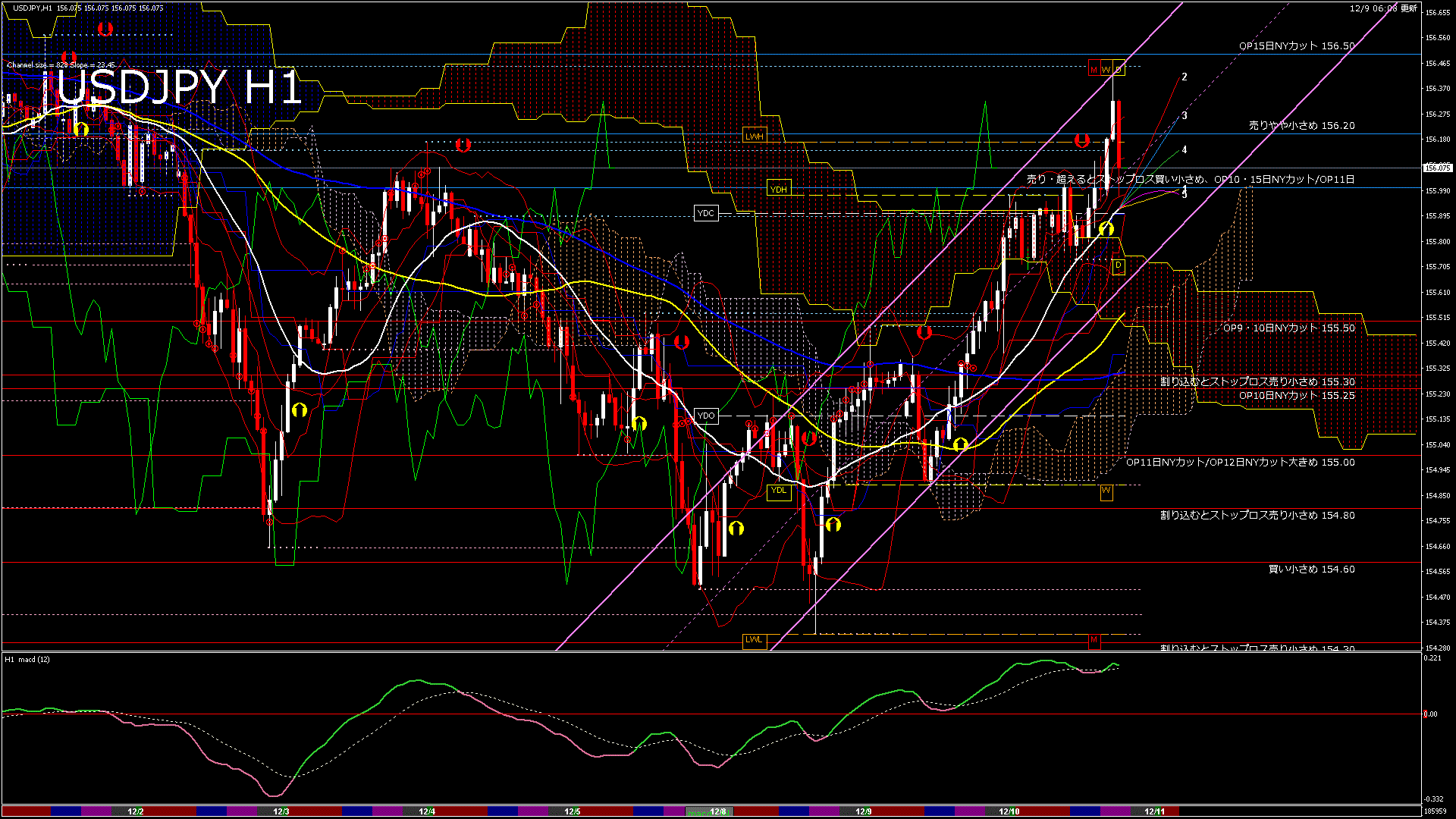 usdjpy60_20251209_190000-gif