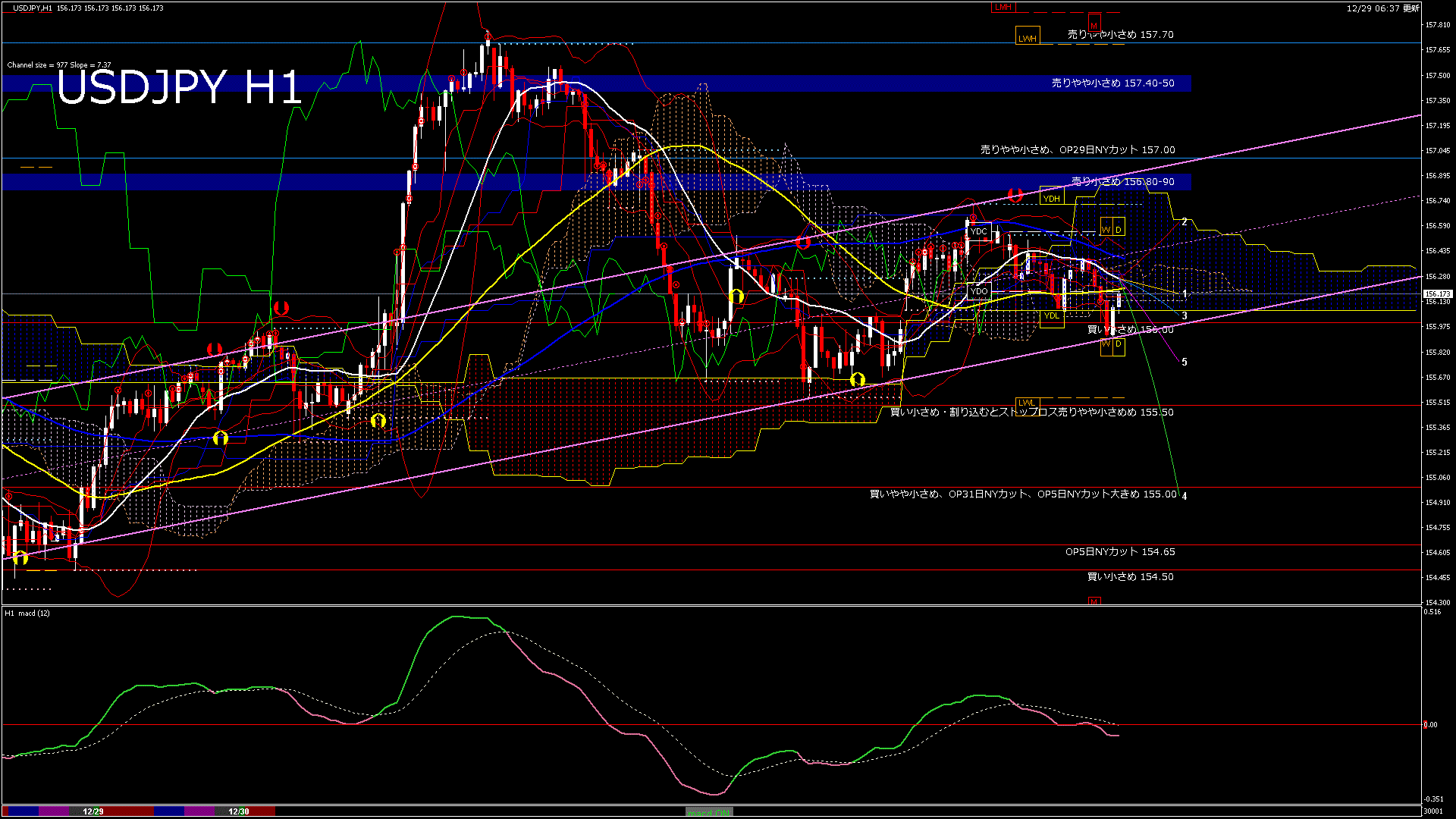 usdjpy60_20251230_030001-gif