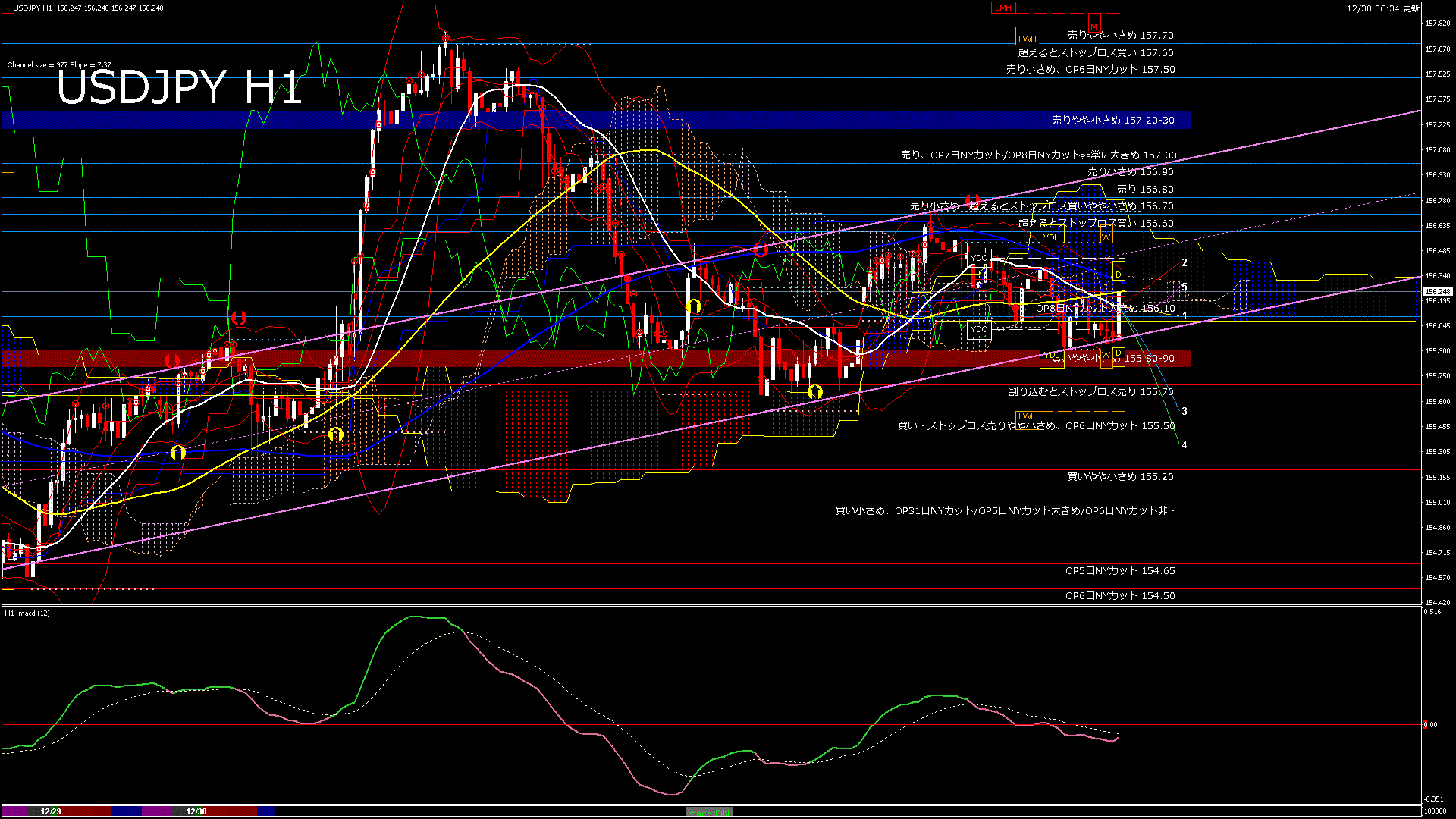 usdjpy60_20251230_100000-gif
