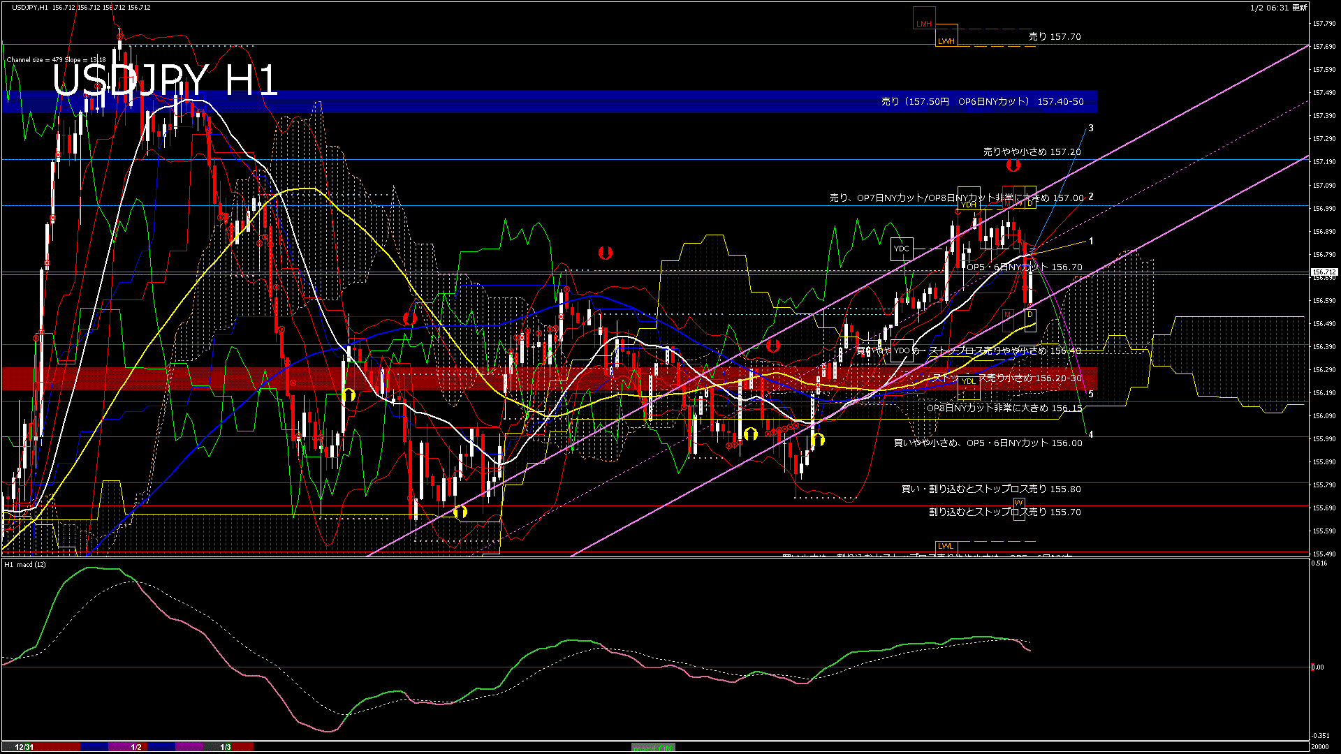 usdjpy60_20260103_020000-gif