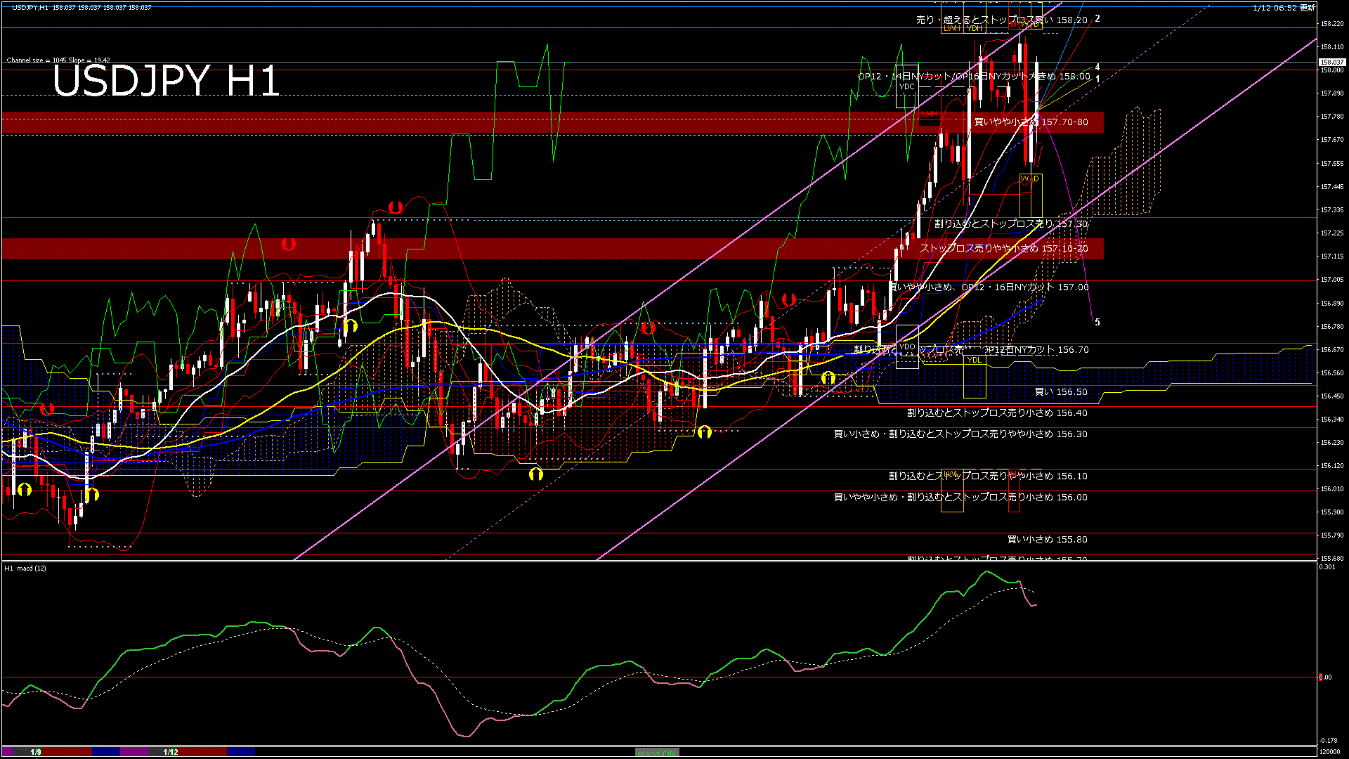 usdjpy60_20260112_120000-gif