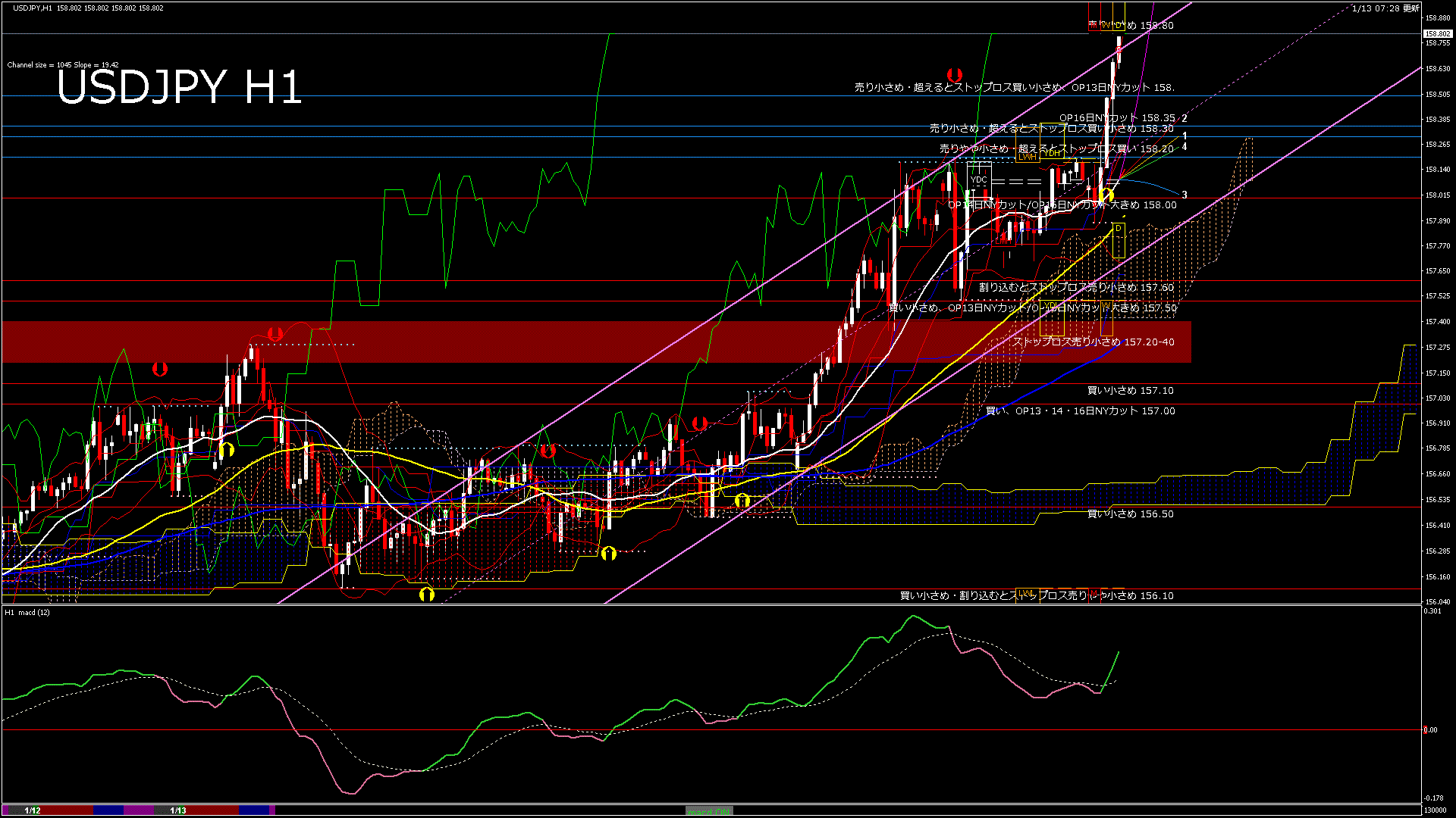 usdjpy60_20260113_130000-gif