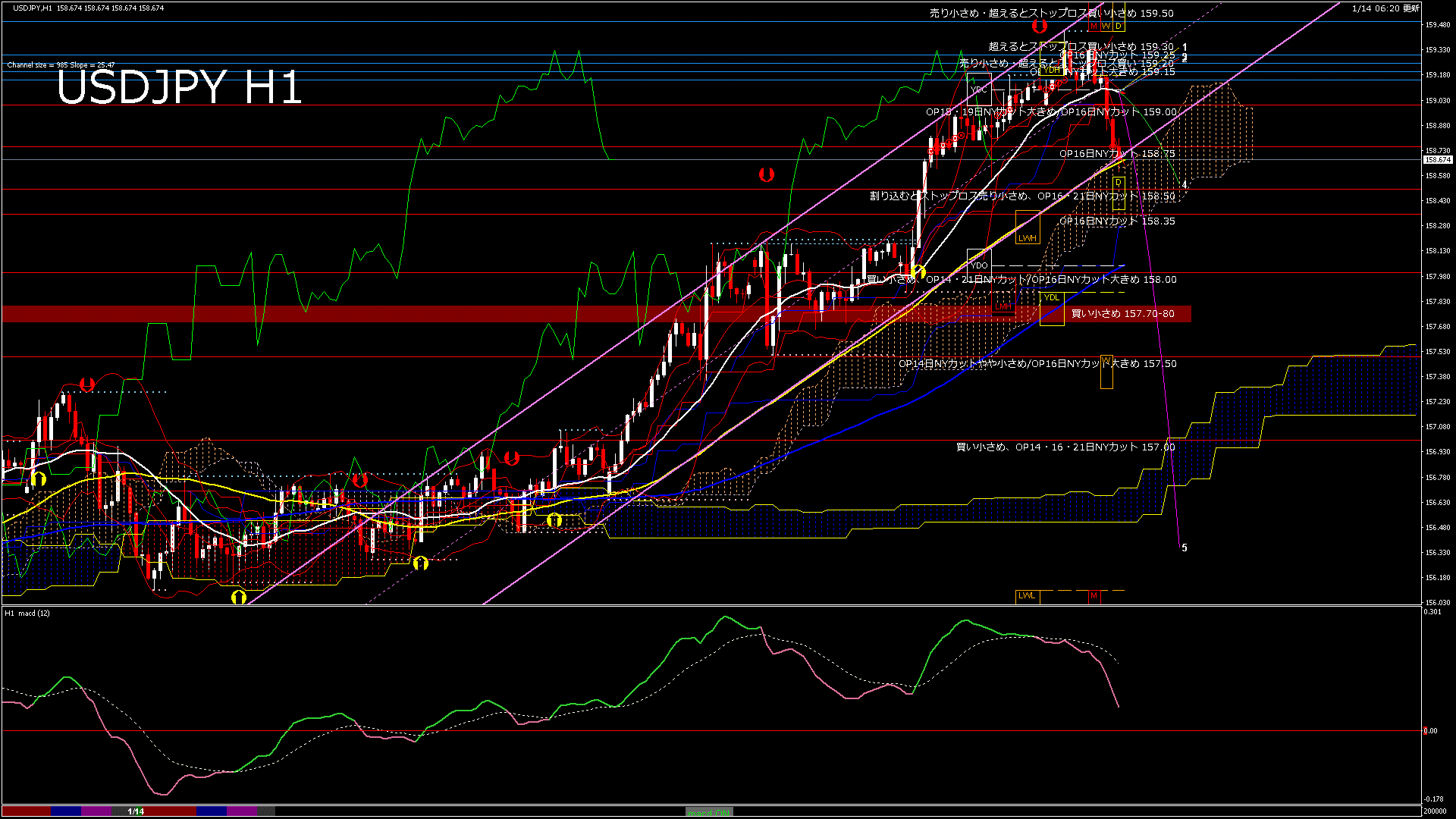 usdjpy60_20260114_200000-gif