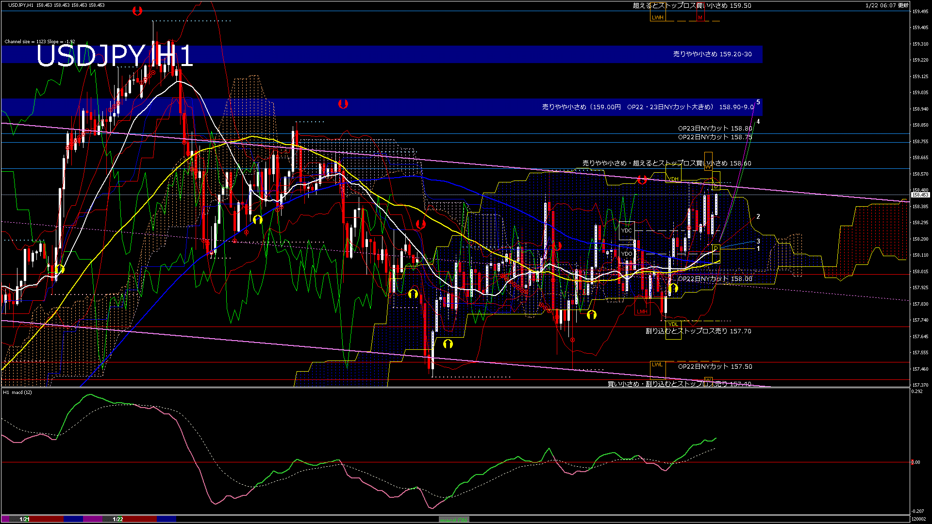 usdjpy60_20260122_120002-gif