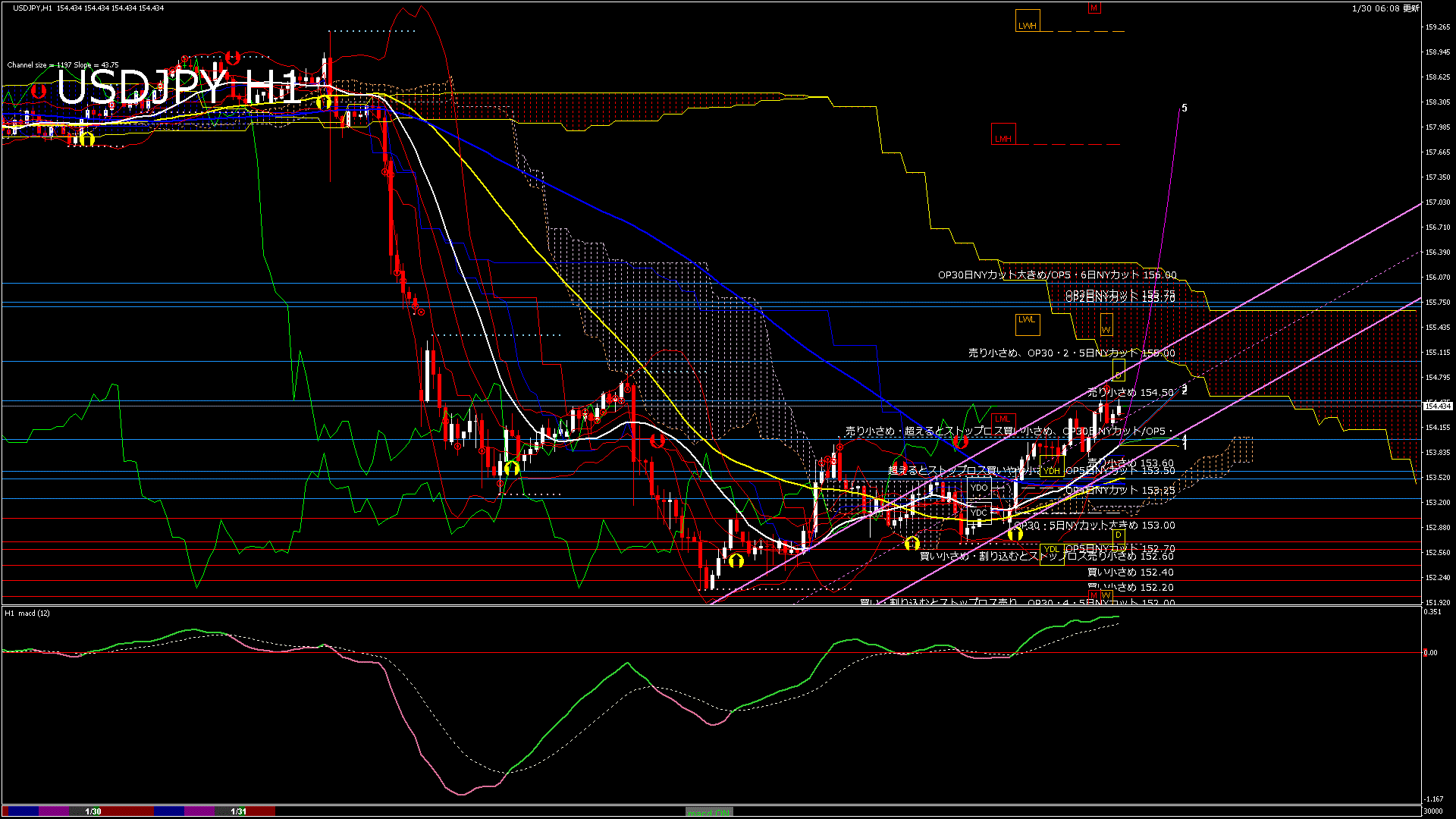 usdjpy60_20260131_030000-gif