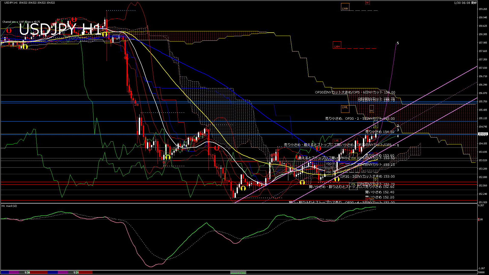 usdjpy60_20260131_050000-gif