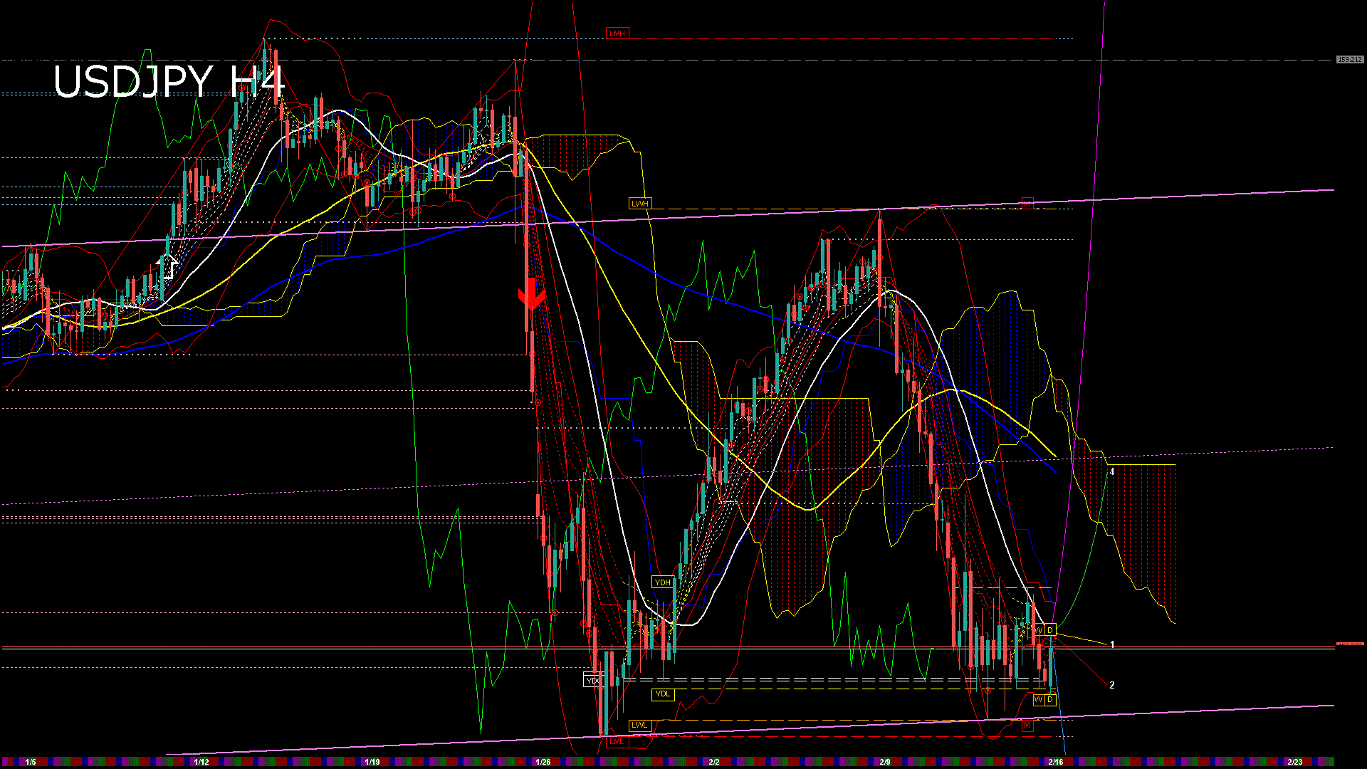 usdjpy240_20260216_110006-gif