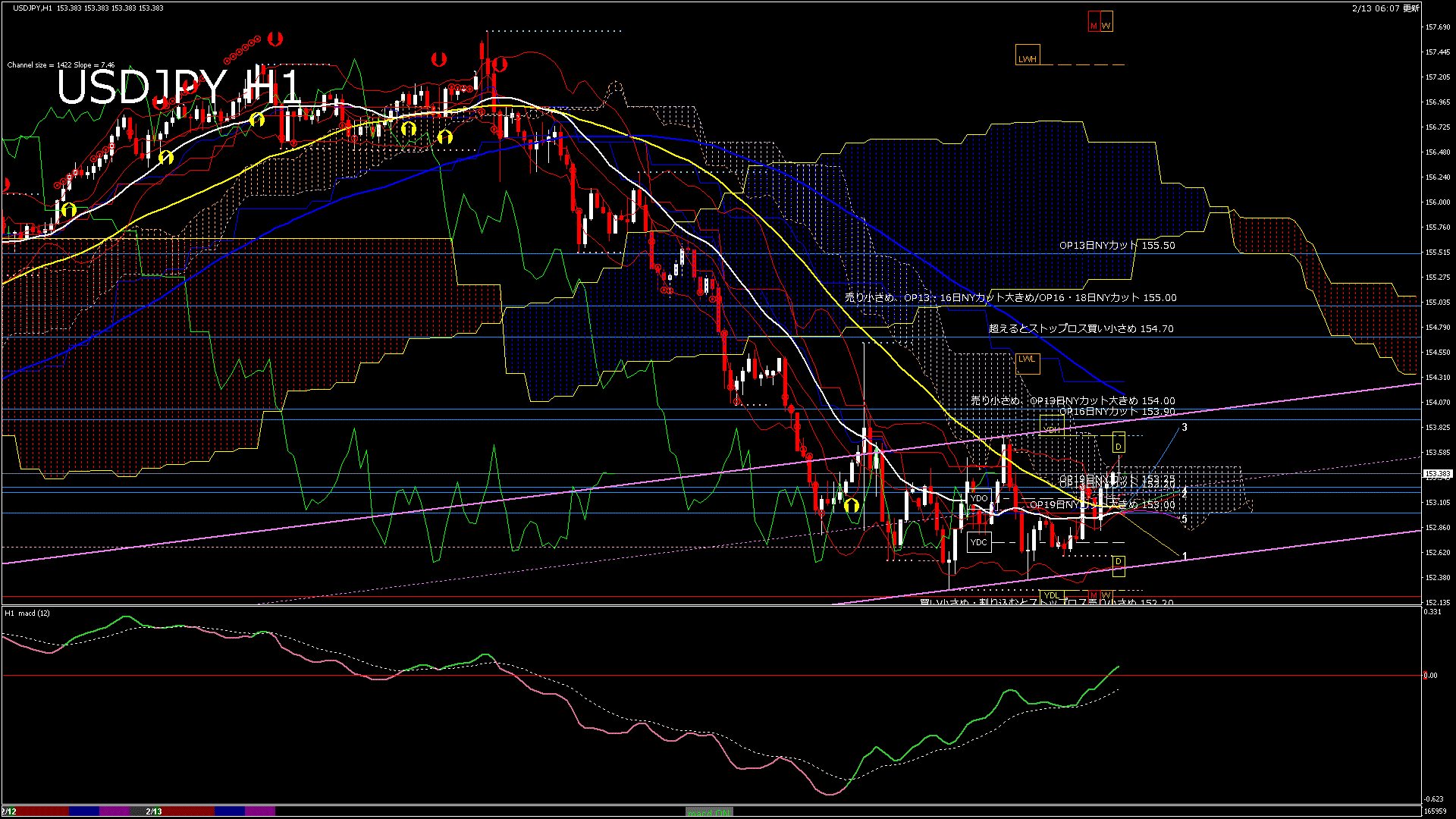 usdjpy60_20260213_170000-gif