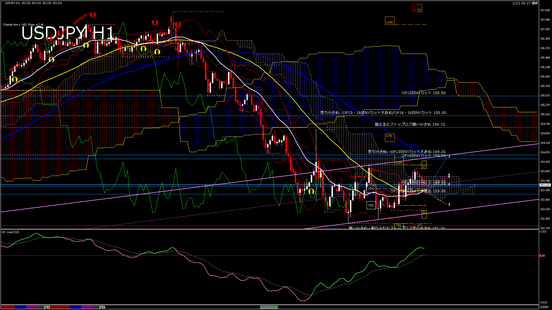 usdjpy60_20260213_220000-gif