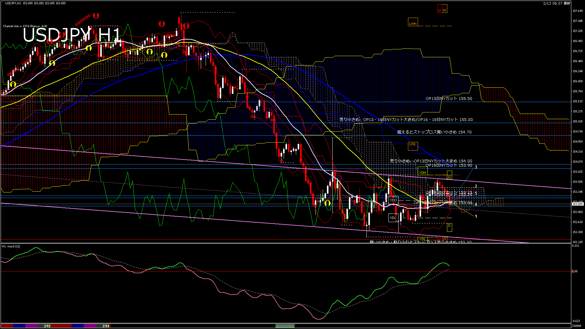 usdjpy60_20260213_230000-gif