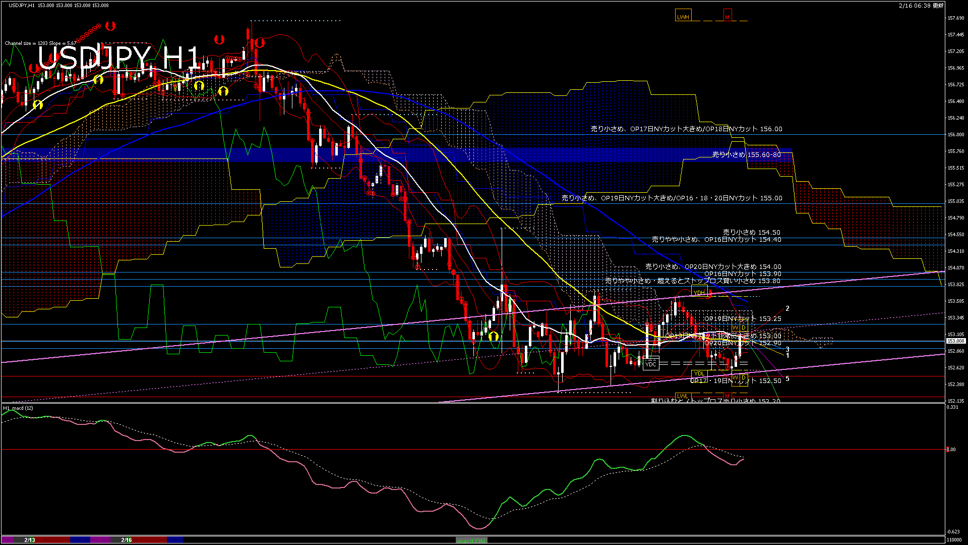 usdjpy60_20260216_110000-gif