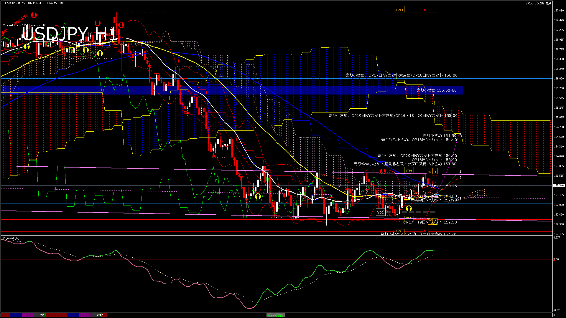 usdjpy60_20260217_000000-gif