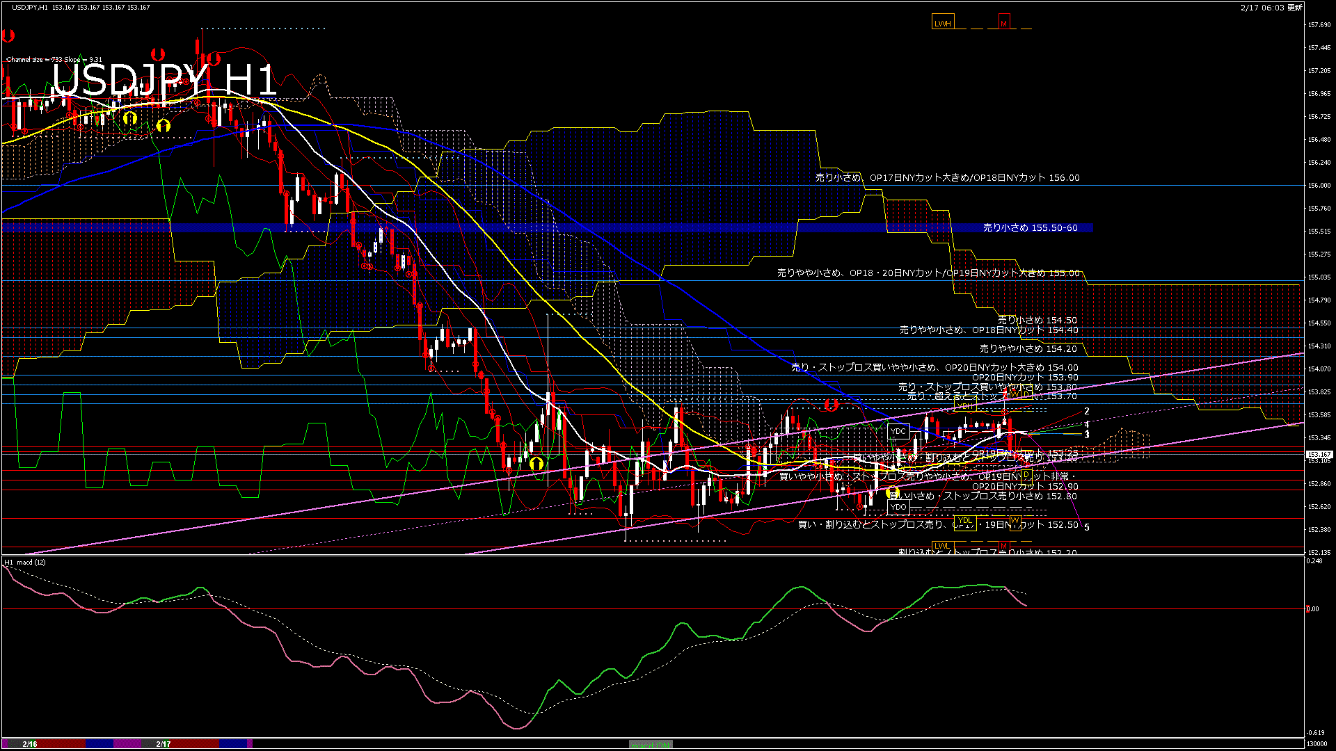 usdjpy60_20260217_130000-gif