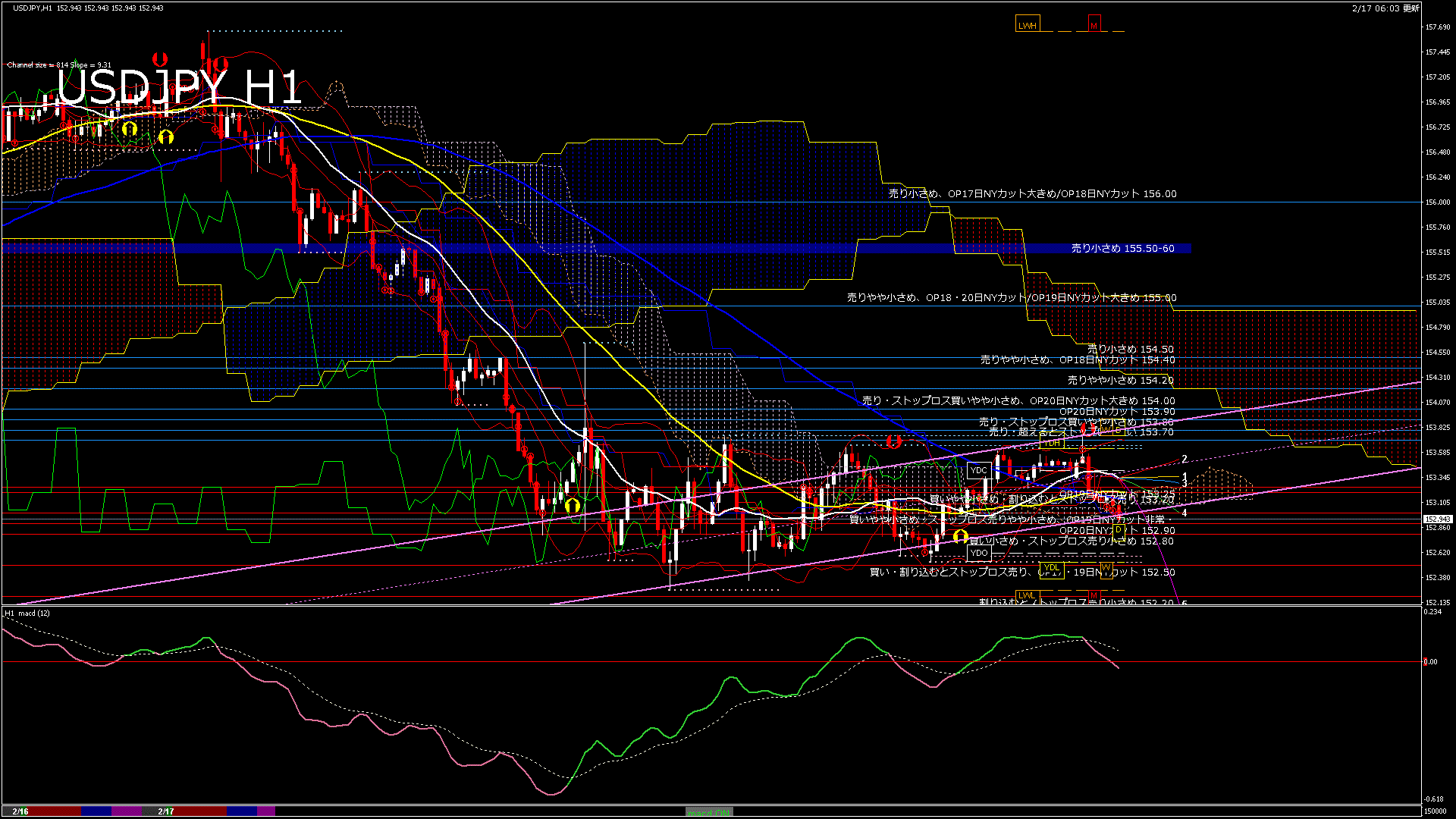usdjpy60_20260217_150000-gif