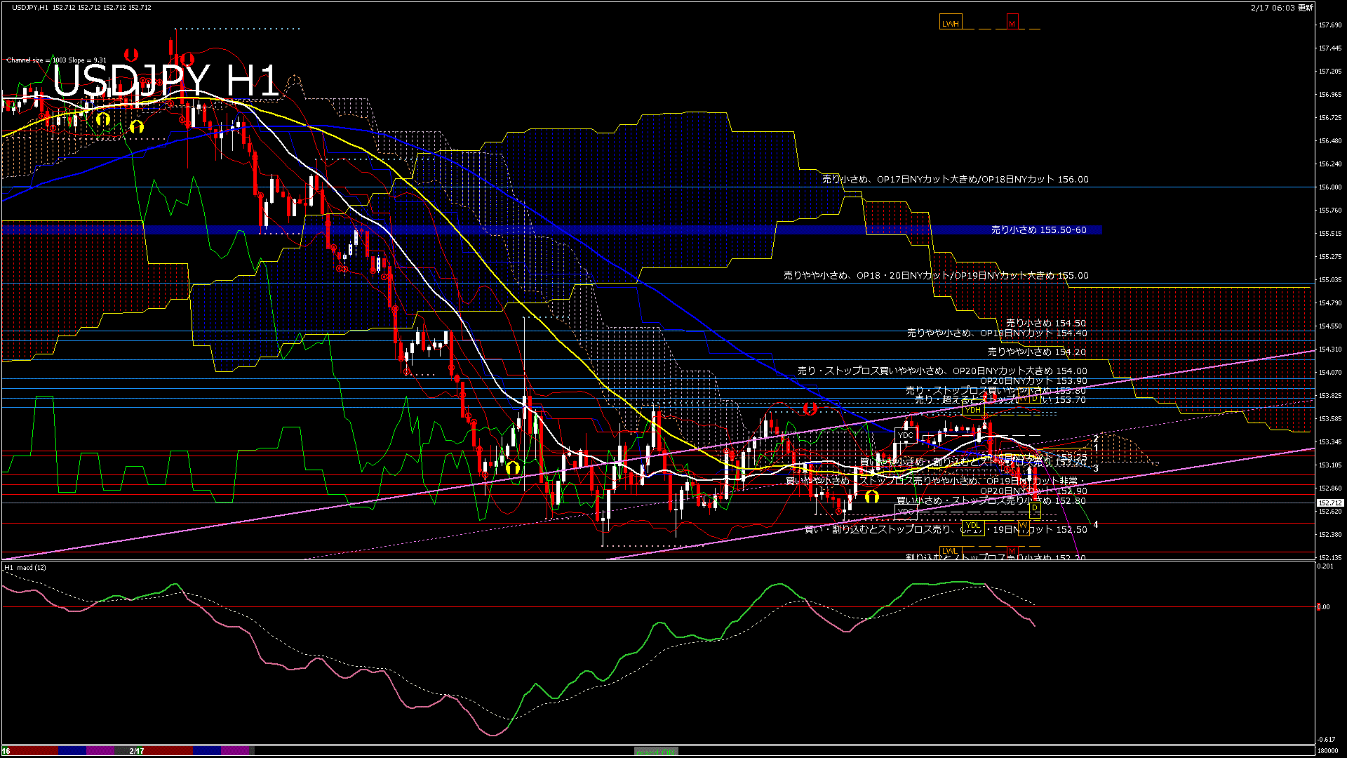 usdjpy60_20260217_180000-gif