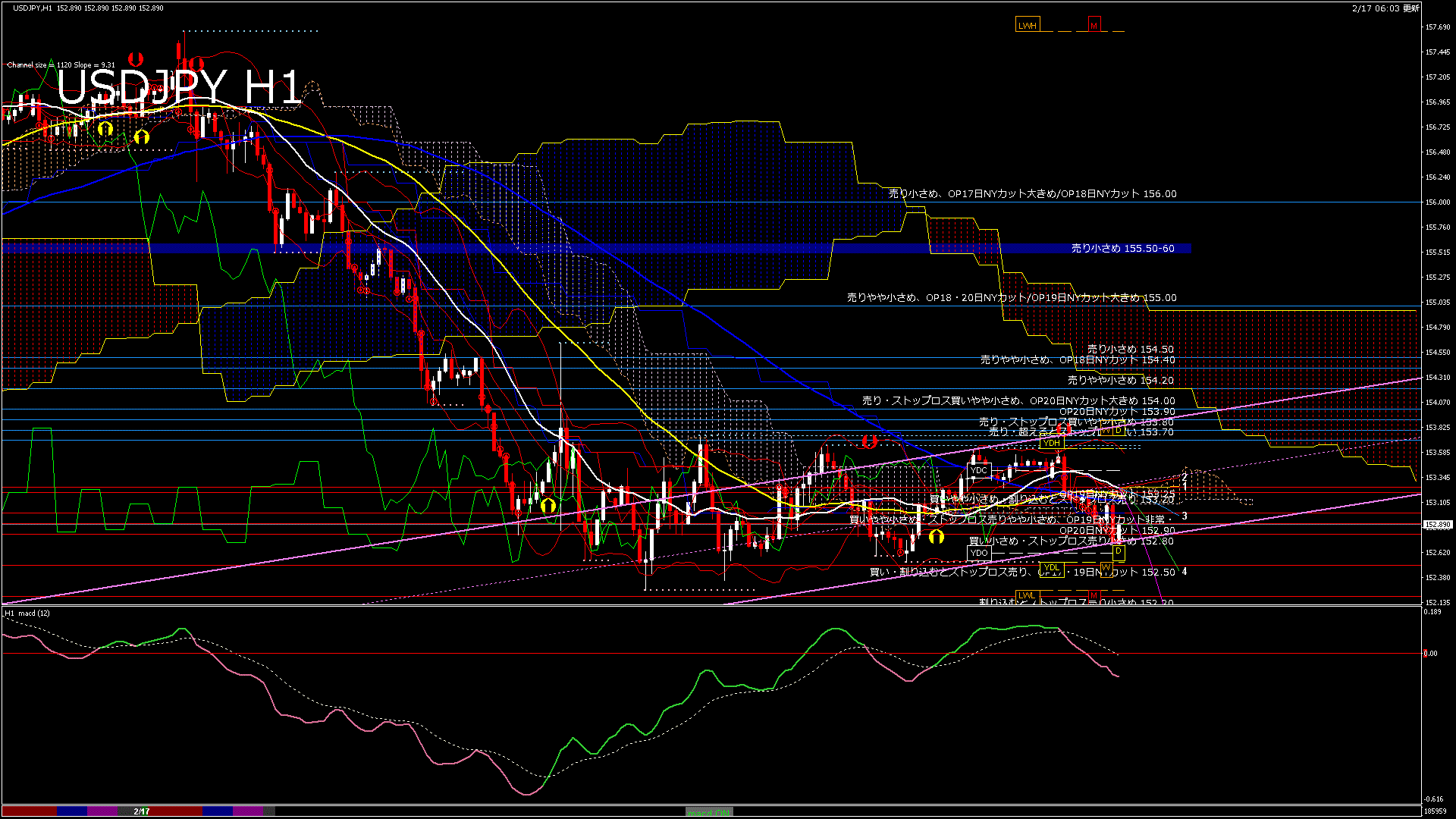 usdjpy60_20260217_190000-gif