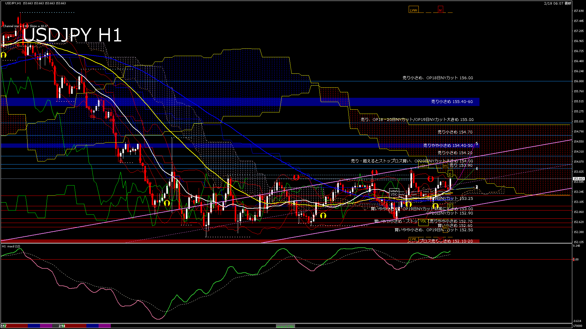 usdjpy60_20260218_170000-gif