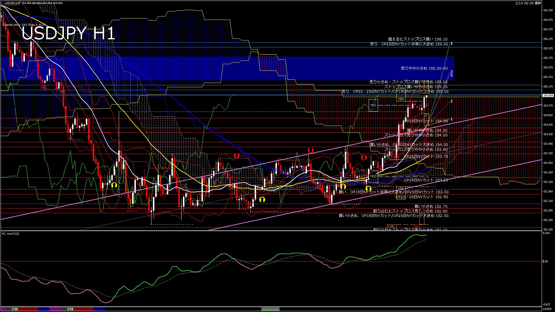 usdjpy60_20260219_120000-gif