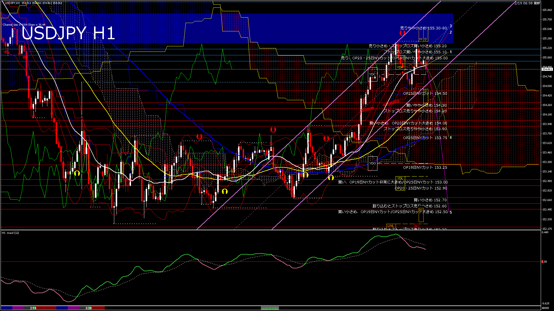 usdjpy60_20260220_040000-gif