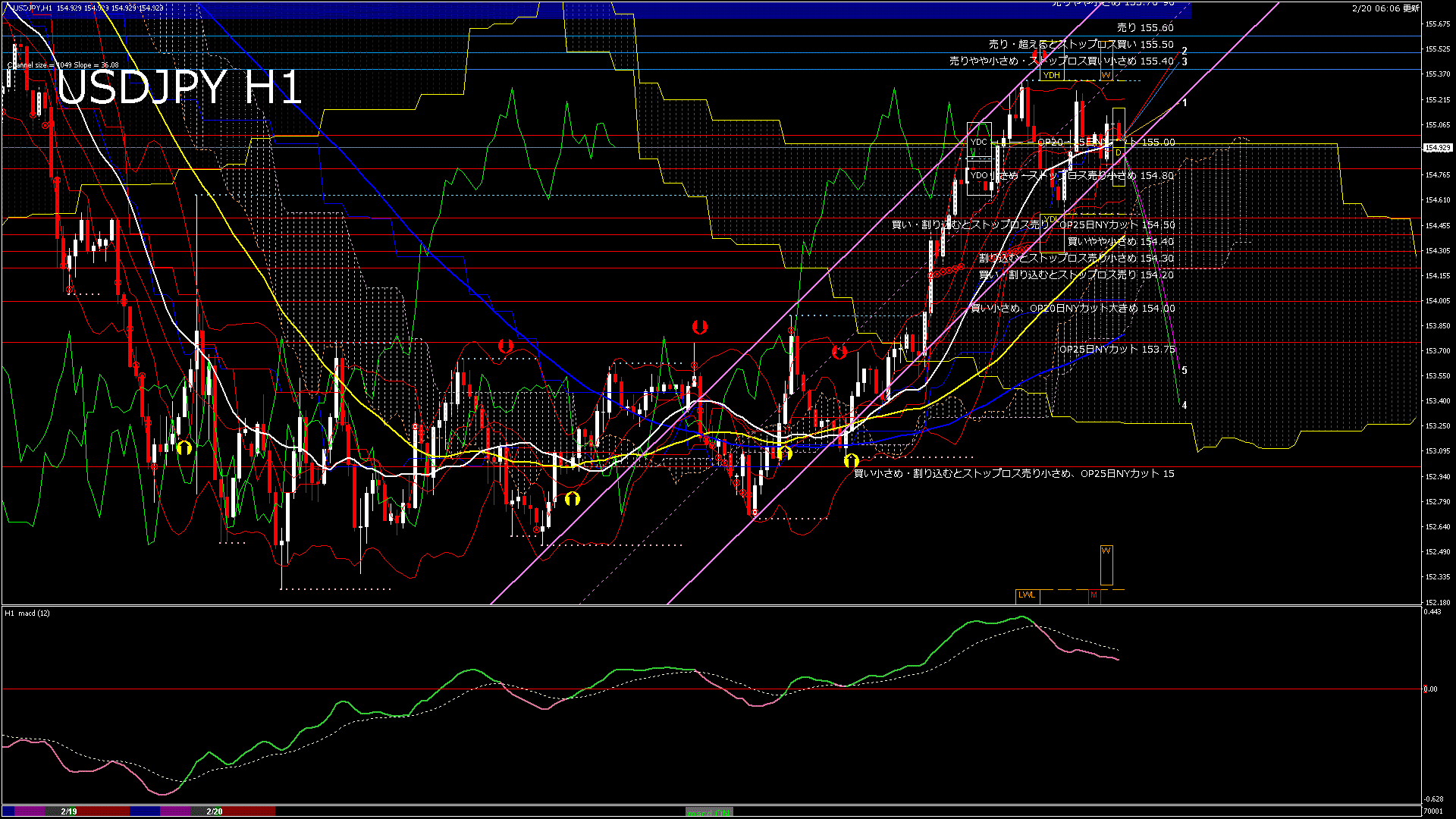 usdjpy60_20260220_070001-gif