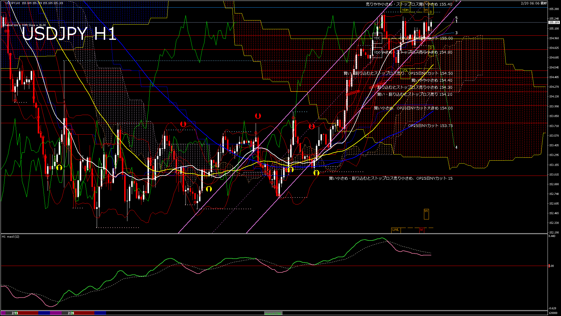 usdjpy60_20260220_120000-gif