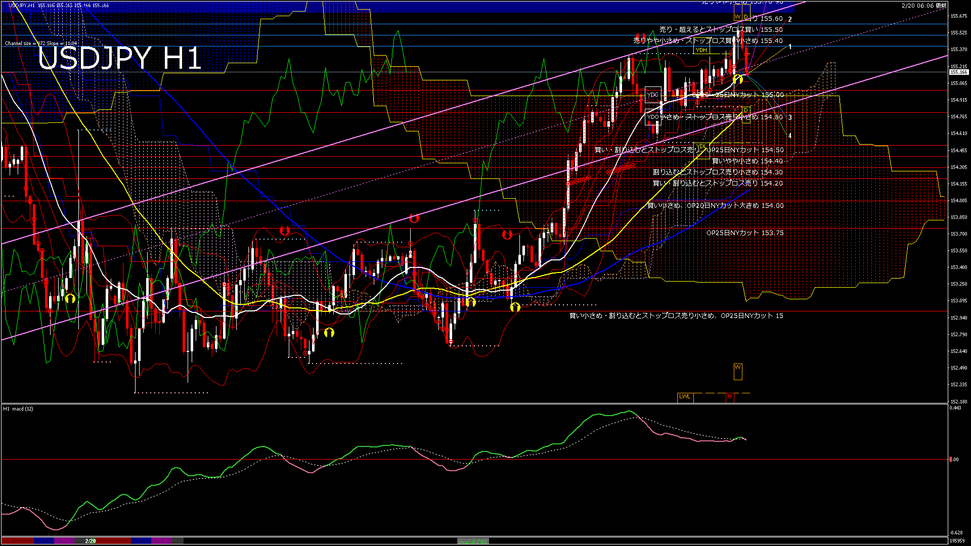 usdjpy60_20260220_200000-gif