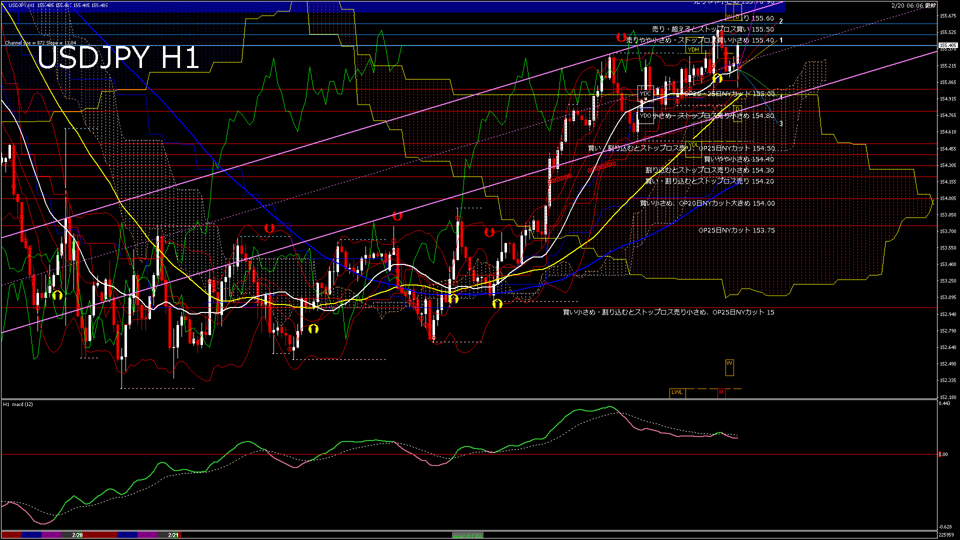 usdjpy60_20260220_230000-gif