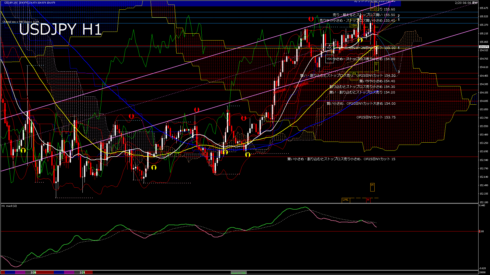 usdjpy60_20260221_020000-gif