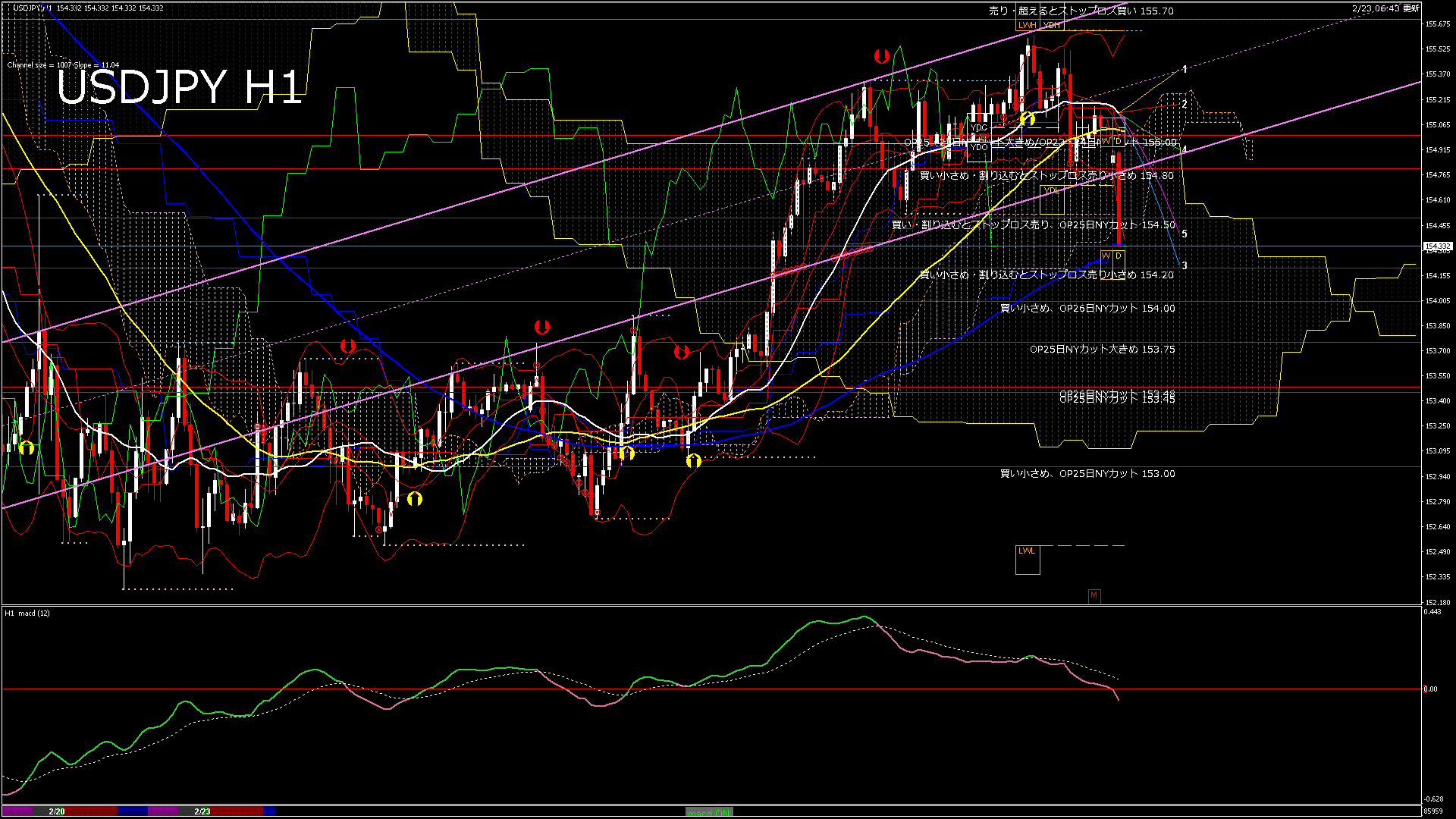 usdjpy60_20260223_090000-gif