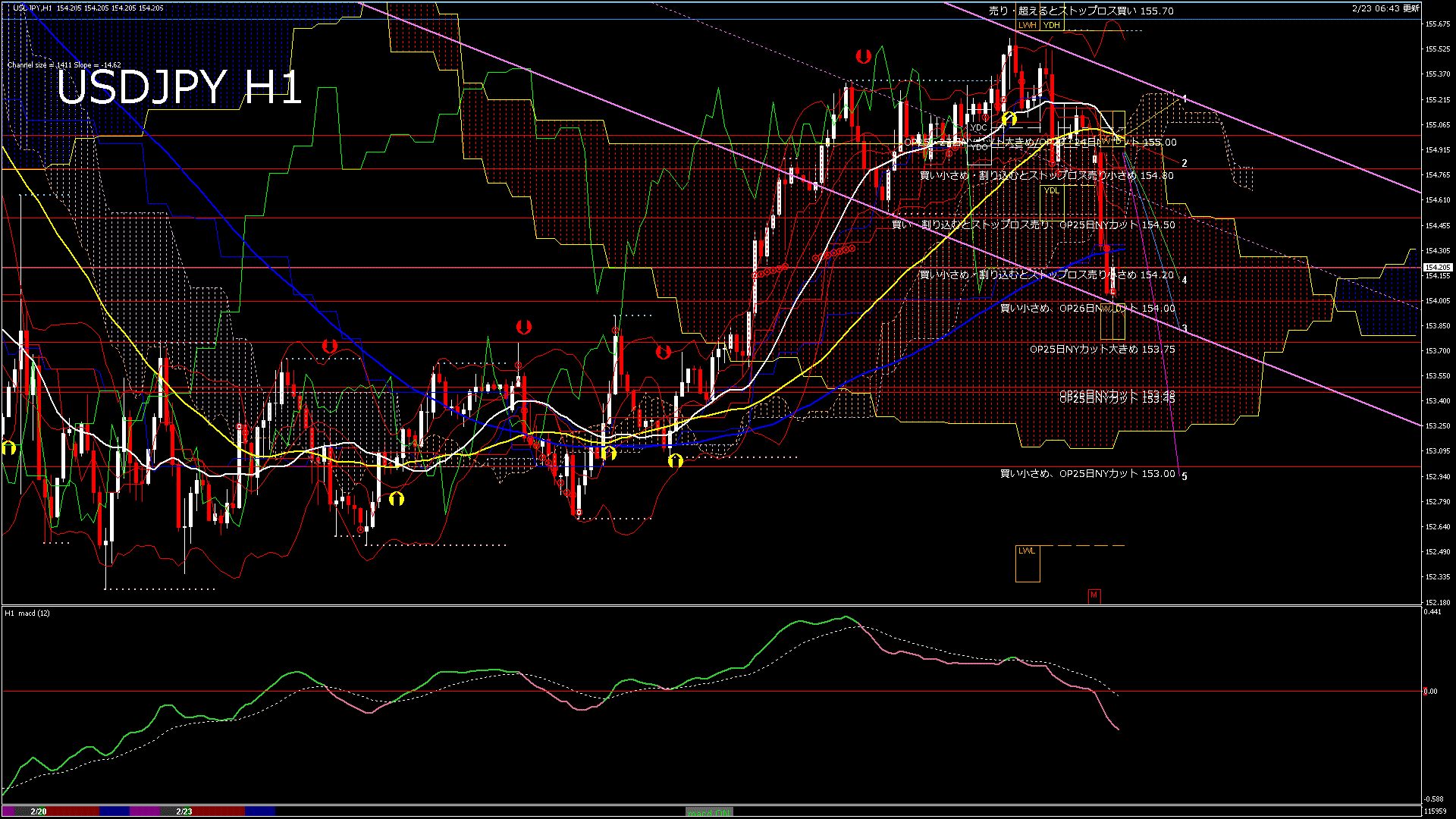 usdjpy60_20260223_120000-gif