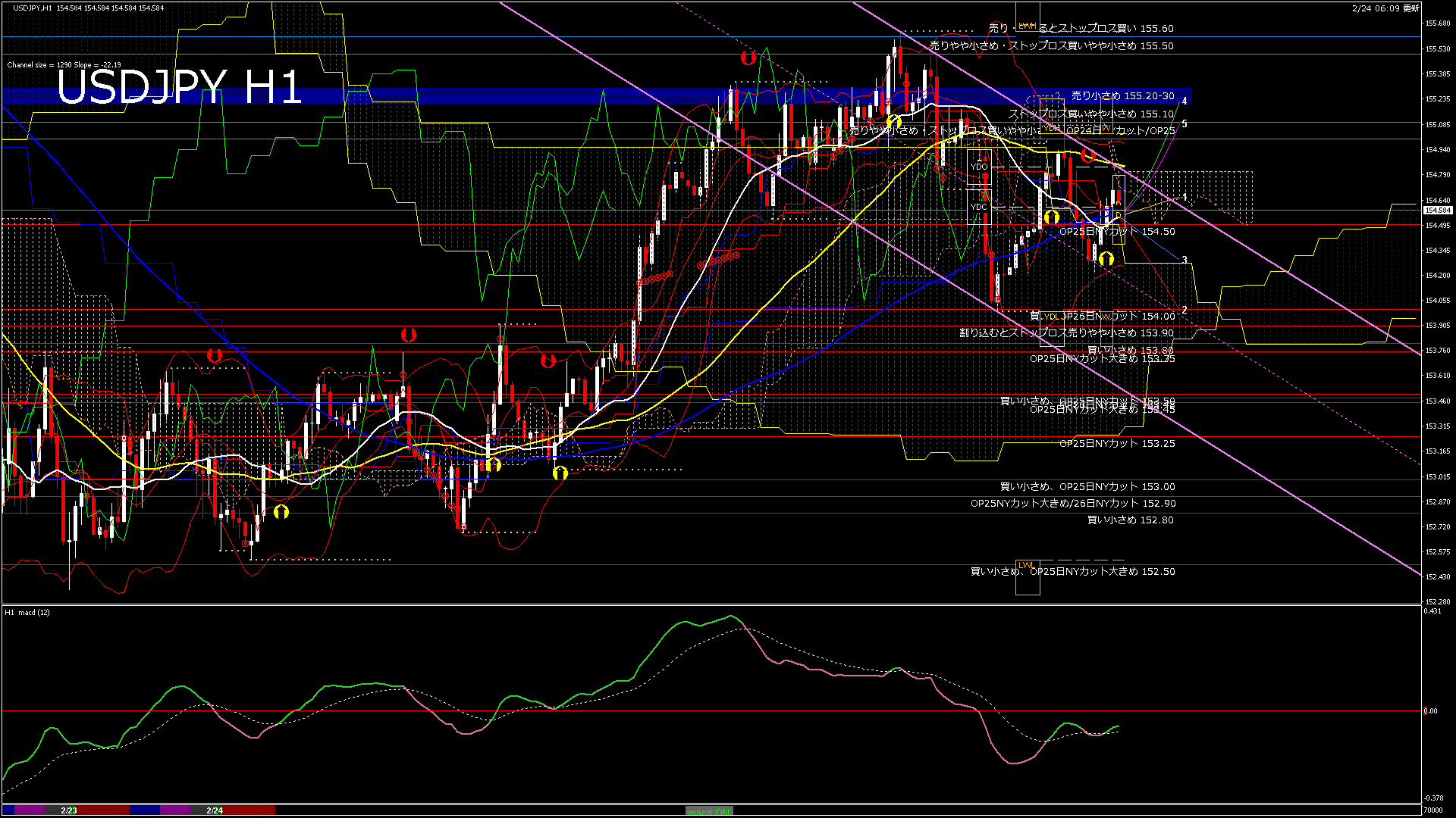 usdjpy60_20260224_070000-gif