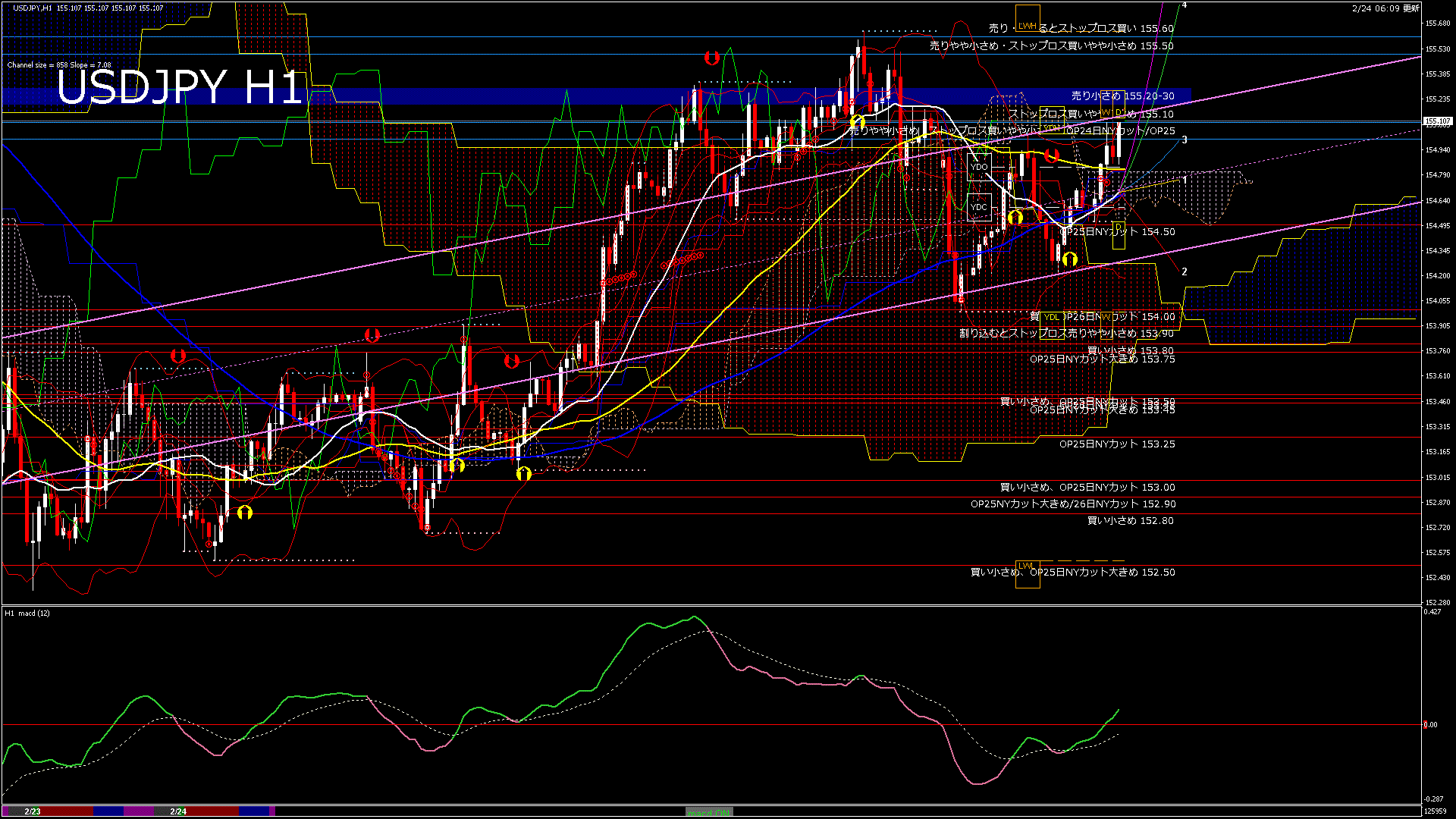 usdjpy60_20260224_130000-gif