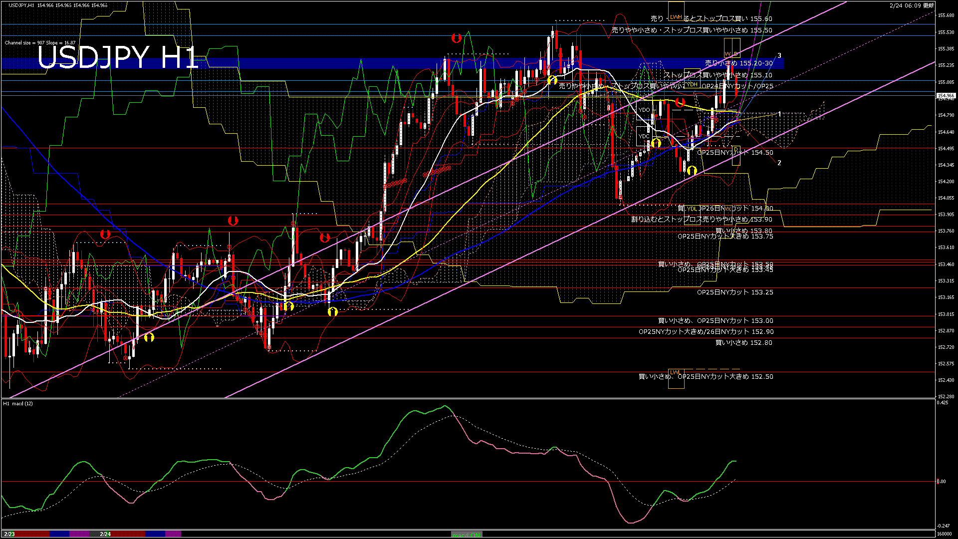 usdjpy60_20260224_160000-gif