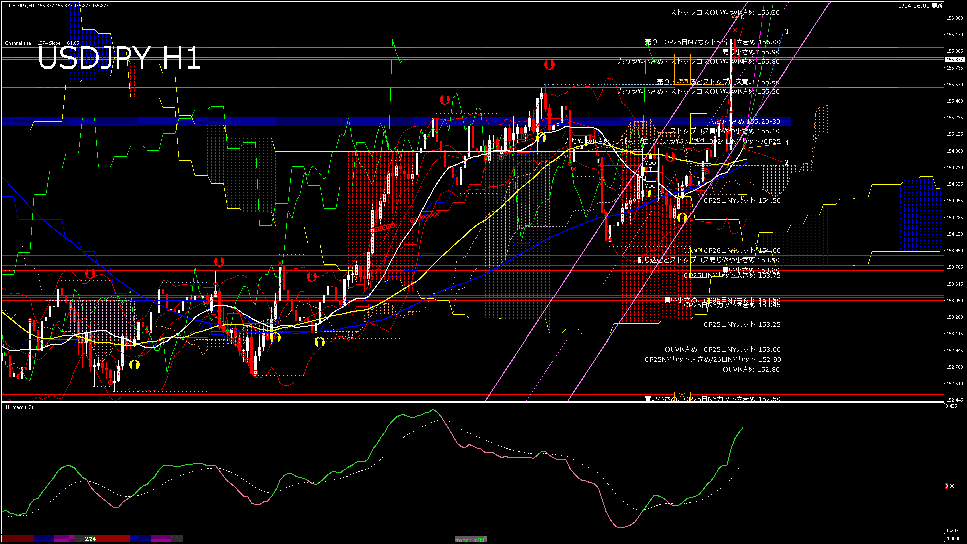 usdjpy60_20260224_200000-gif