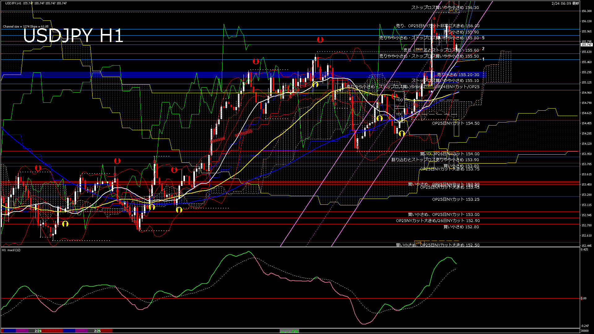 usdjpy60_20260225_030000-gif