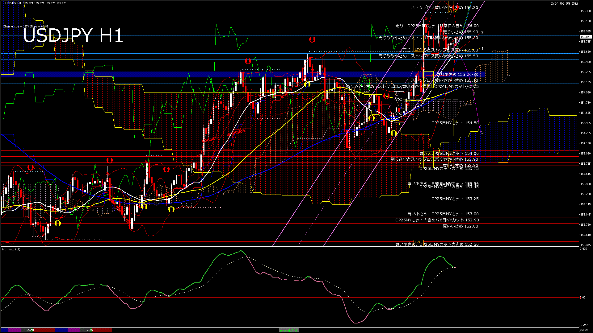 usdjpy60_20260225_060000-gif