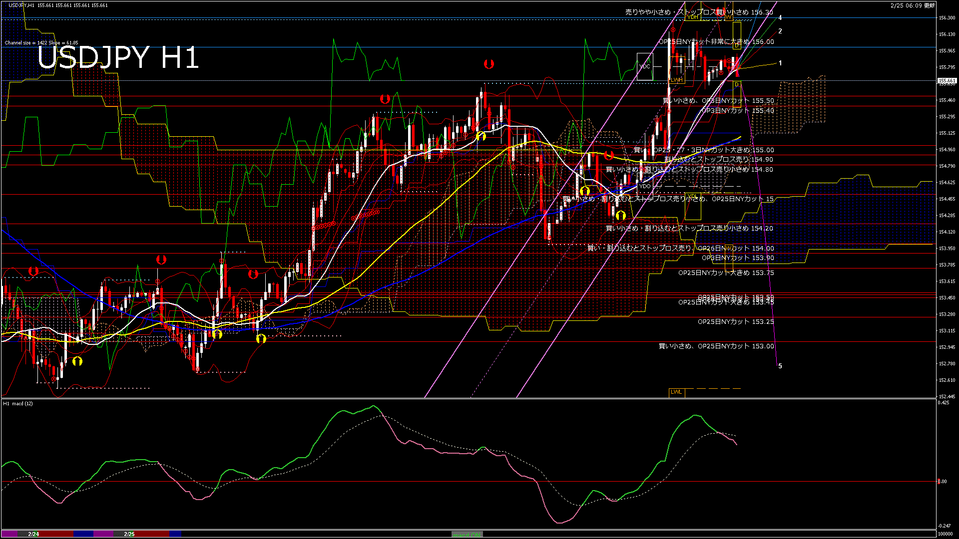 usdjpy60_20260225_100000-gif