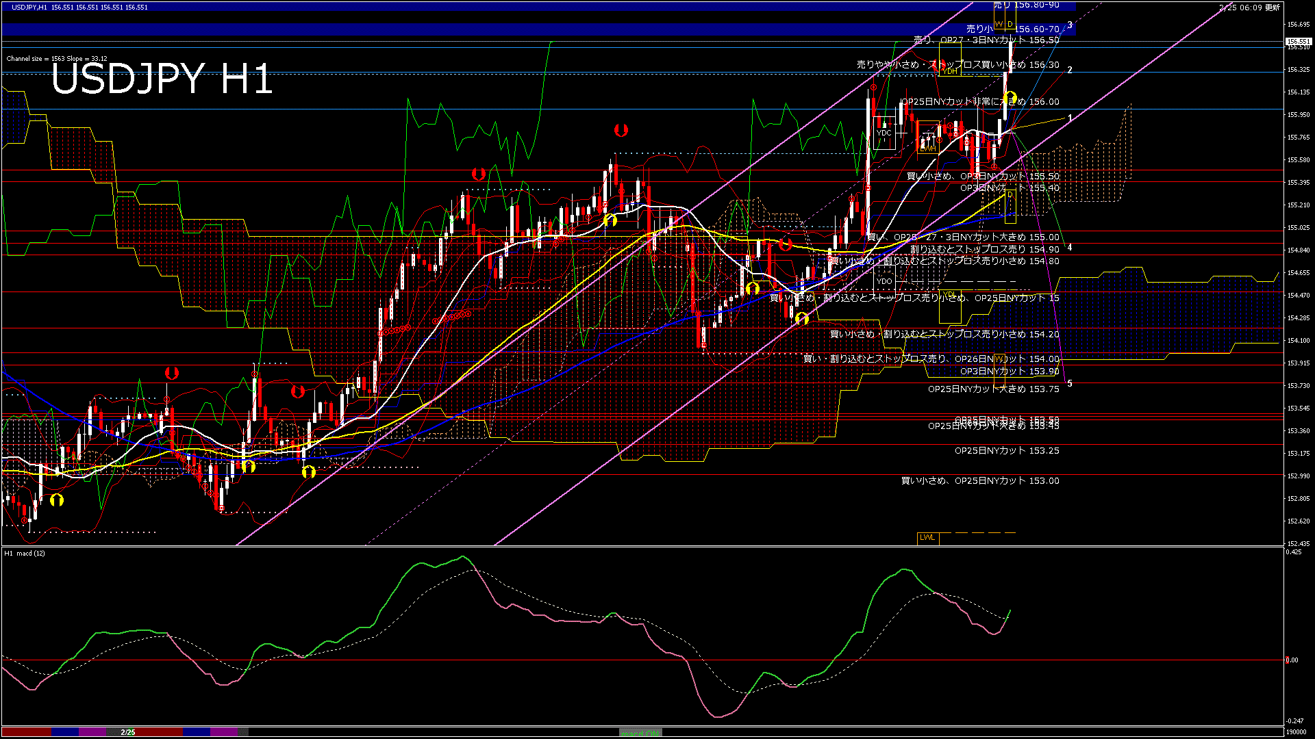 usdjpy60_20260225_190000-gif