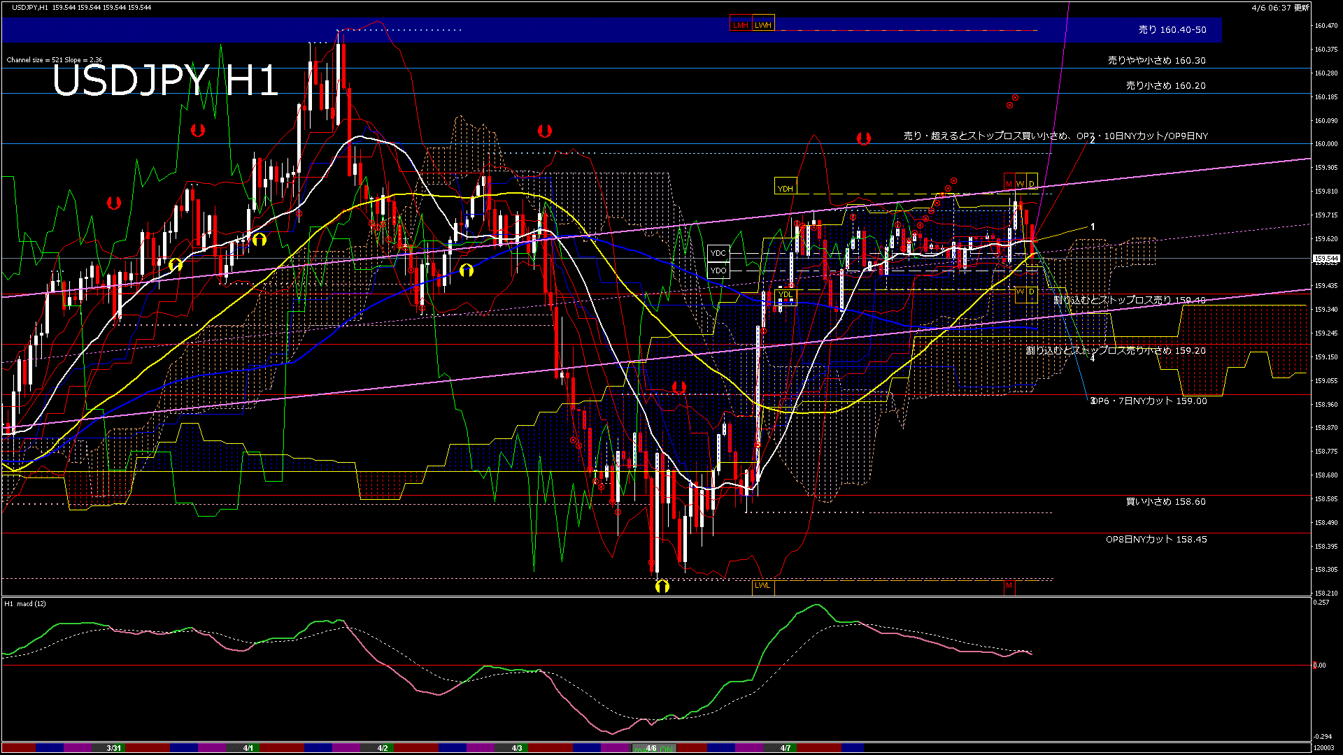 usdjpy60_20260406_120003-gif